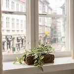 Homey 2br For 6 Near Stroget Kodaň